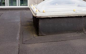 disadvantages of East Parley flat roofs