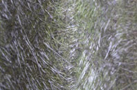 East Parley fibreglass roof work